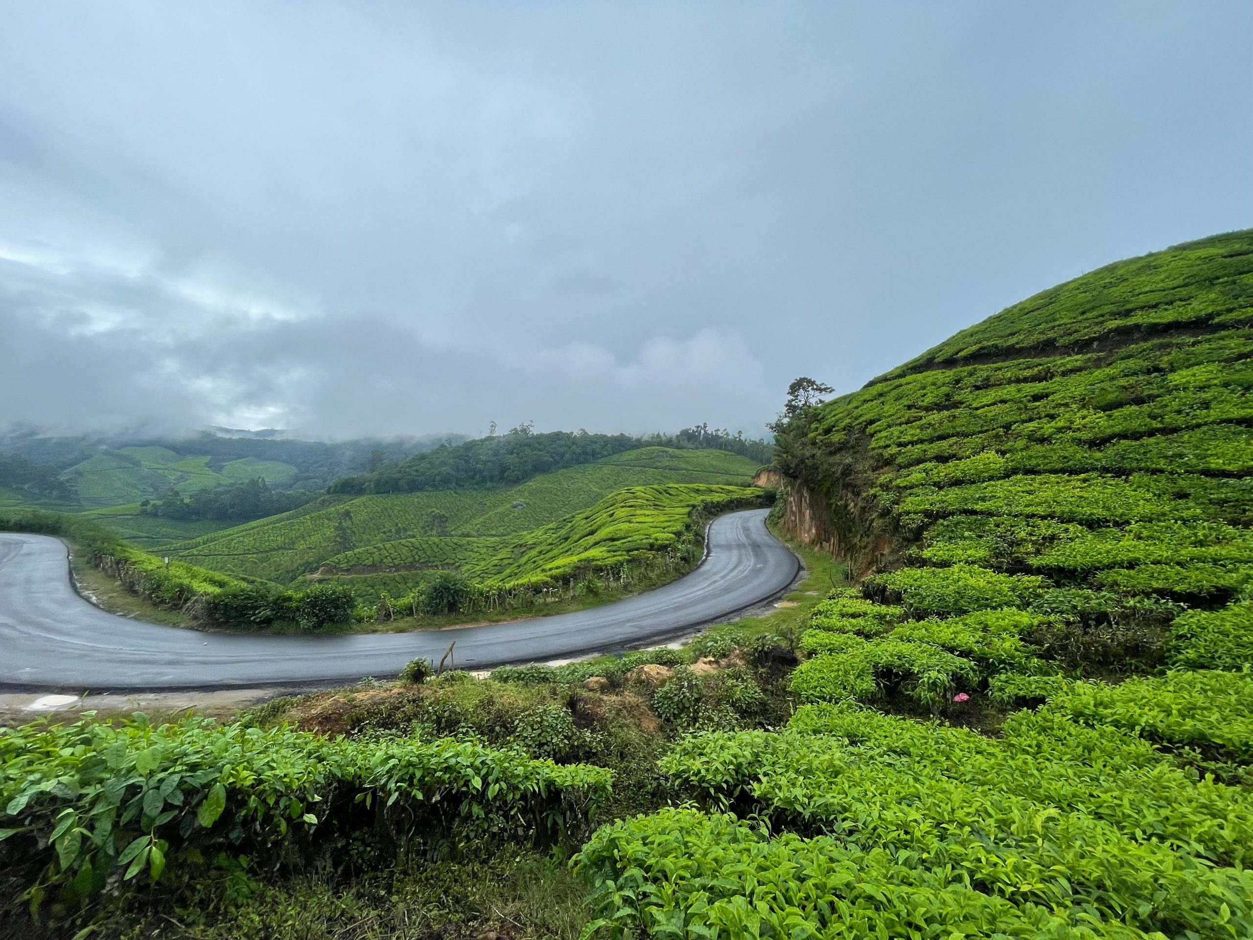 The Ultimate Road Trip Guide to Mangalore: Routes, Stops, and Travel Tips